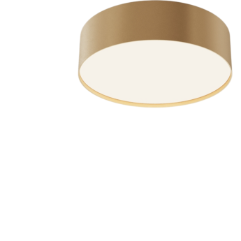 Потолочный светильник MAYTONI ZON C032CL-24W4K-RD-MG